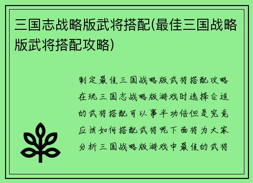三国志战略版武将搭配(最佳三国战略版武将搭配攻略)